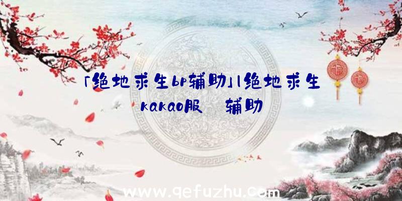 「绝地求生bp辅助」|绝地求生kakao服